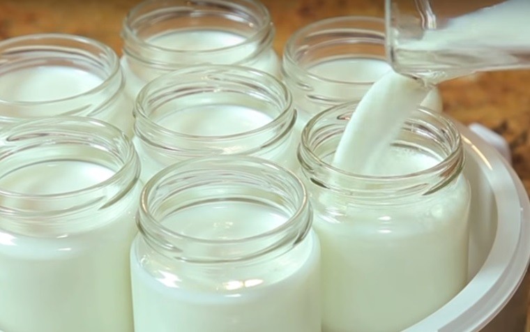 huớng dẫn cách ủ sữa chua 4